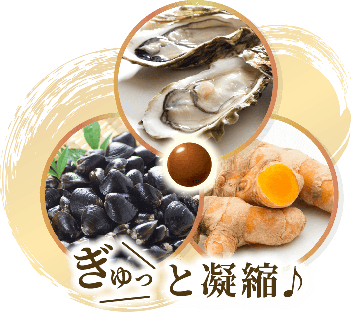 ぎゅっと凝縮♪