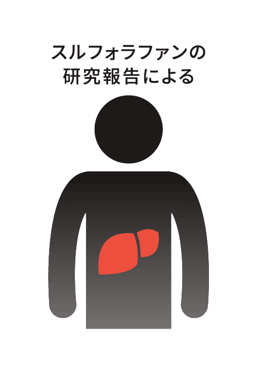 スルフォラファンの研究報告による