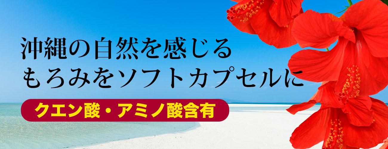 琉球もろみ酢ソフトカプセル | 健康食品のことなら井藤漢方製薬