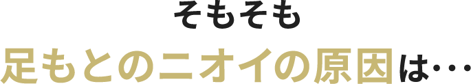 そもそも足もとのニオイの原因は･･･