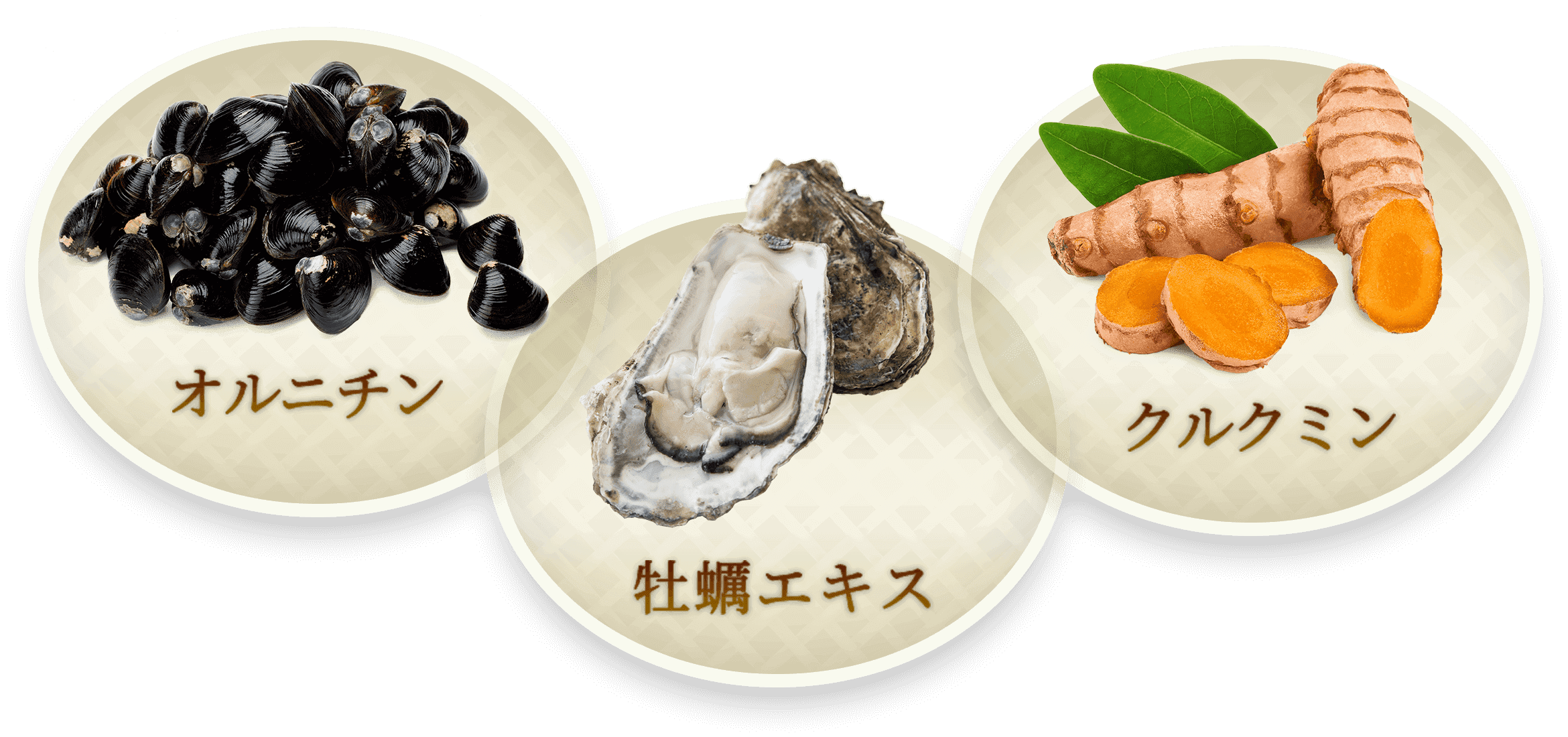 健康食品 日本クリニック 牡蠣 200粒 通販